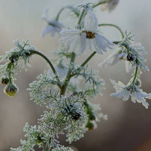  دروغه حرفات زندگیمو دادی به باد با من از عشقت حرف نزن نزن